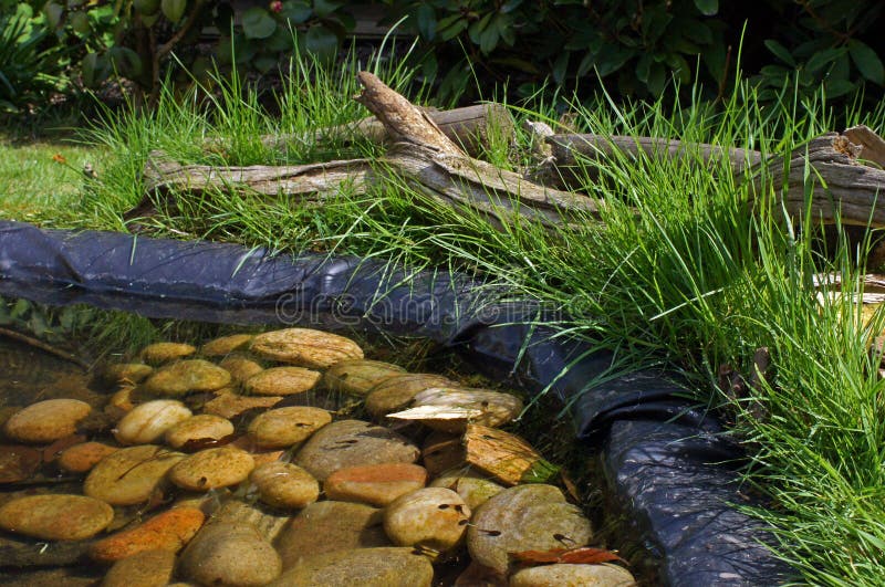 Garden Pond