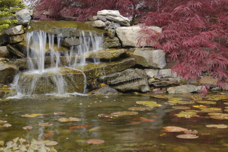 Zen garden, Koi pond stock image. Image of aquatic, nature 9169301