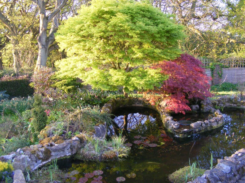 Garden pond stock image. Image of nature, flowers, trees 83359249
