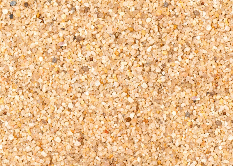 Garden Pond Gravel Backdrop Stock Photo Image of horticultural