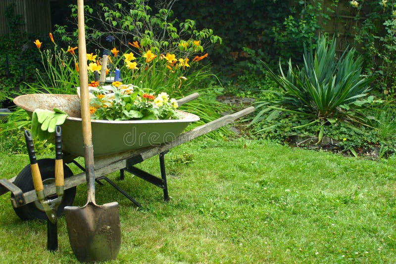 Garden portraits stock image