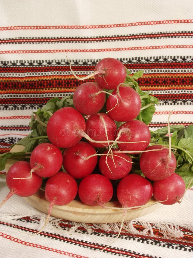 Garden radish