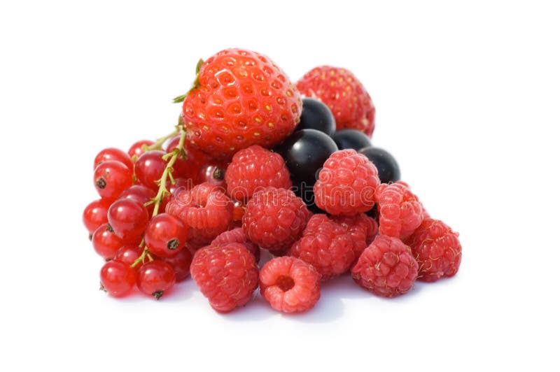 Garden ripe berries isolated over white