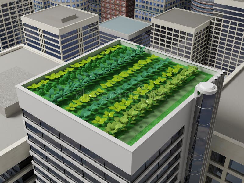 Roof Garden Stock Illustrations 7,843 Roof Garden Stock Illustrations