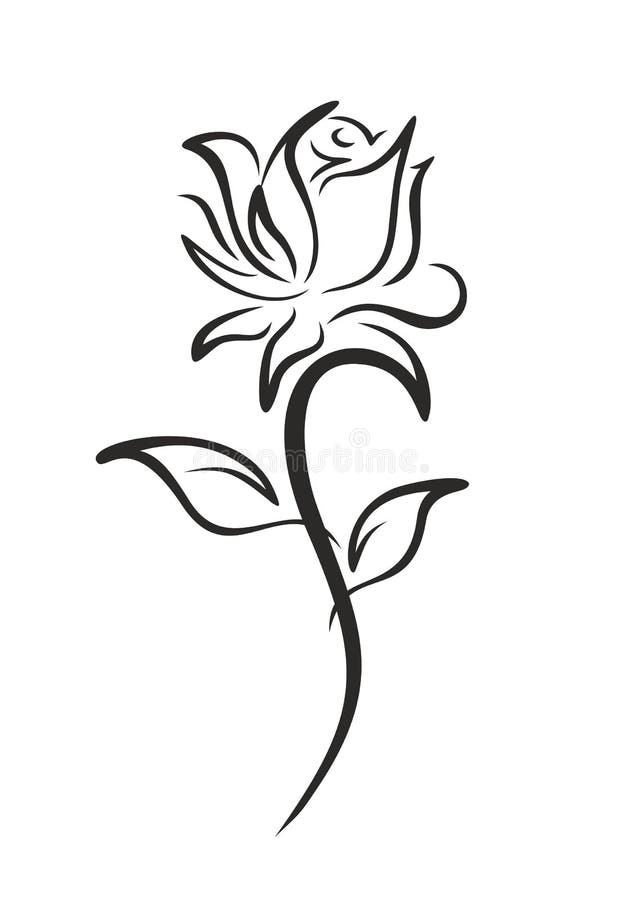 Hand Drawn Garden Roses Vector Sketch Illustration Stock Illustration   Download Image Now  iStock