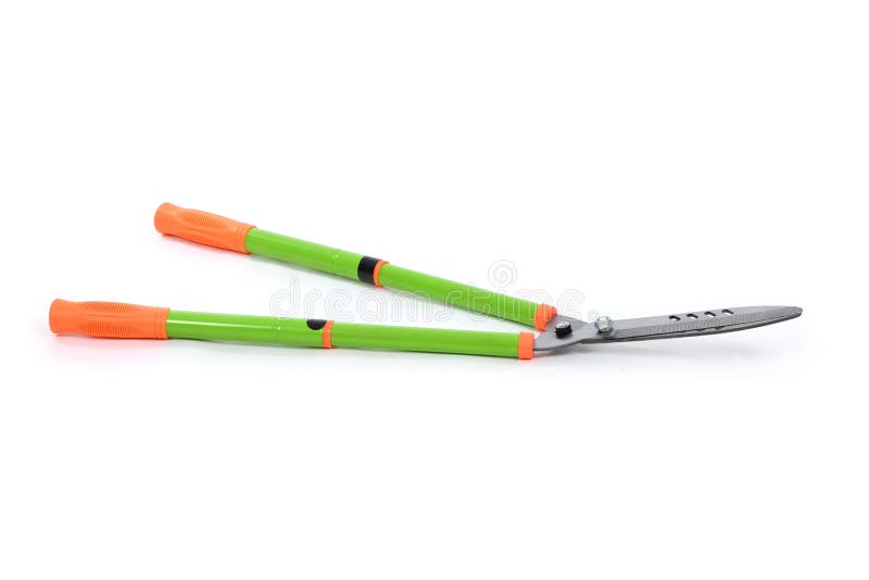 Garden Scissors for Cutting Stock Photo Image of cutout, background