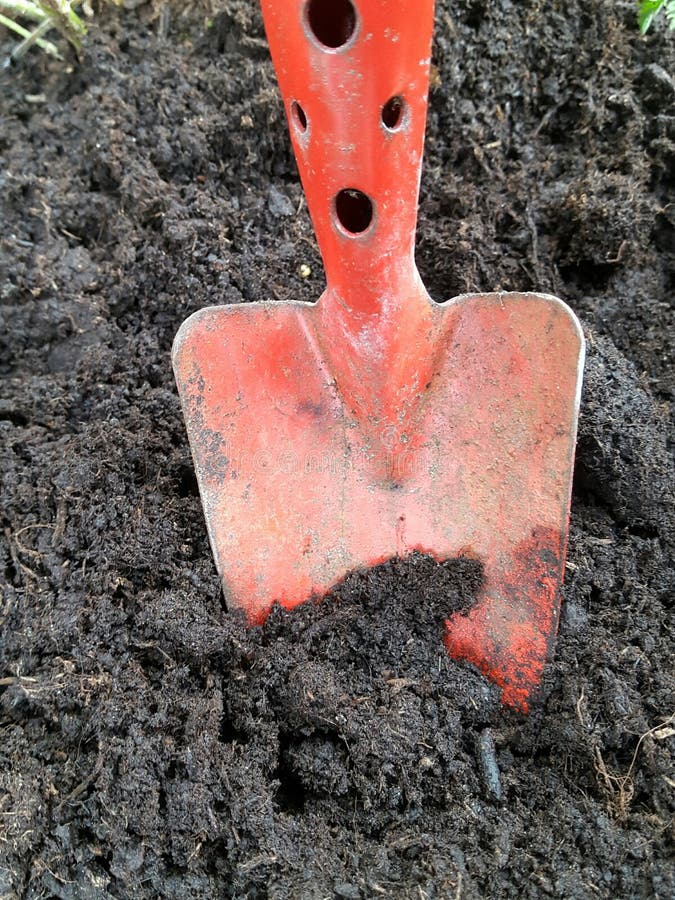 Shovel and Dirt stock photo. Image of freshness, green 34641184