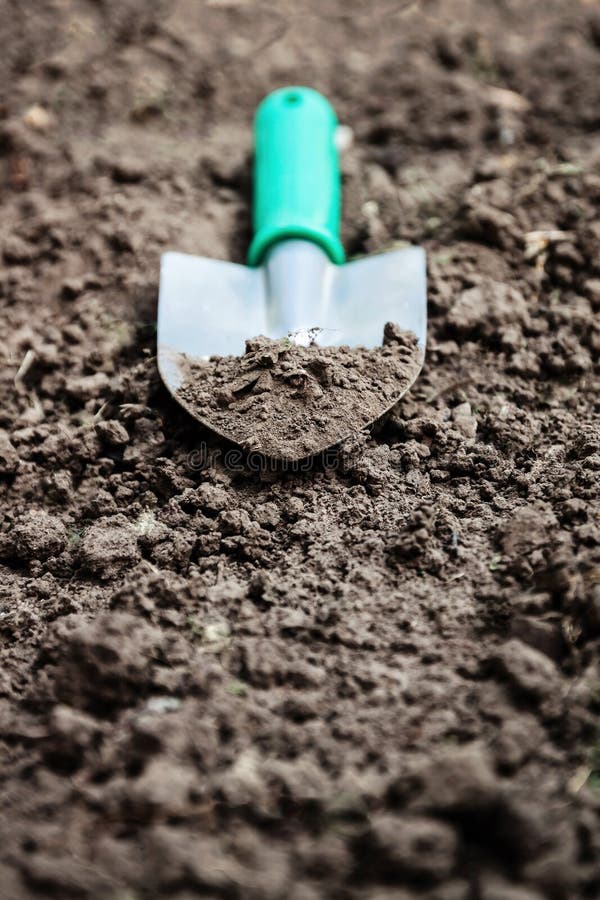 Garden Shovel Scoop Soil Top View Close Up Stock Photos Free