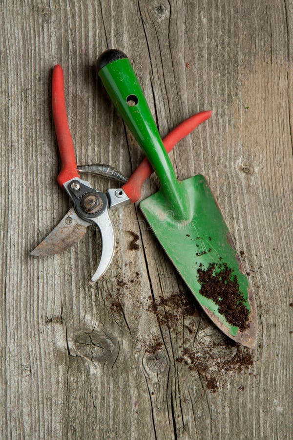 Garden spade and garden scissors with ground