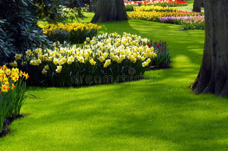 A garden in spring stock images A garden in spring stock images