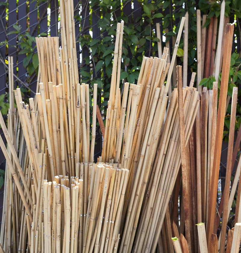 Garden Stakes stock image. Image of bundle, garden, stick 95212483