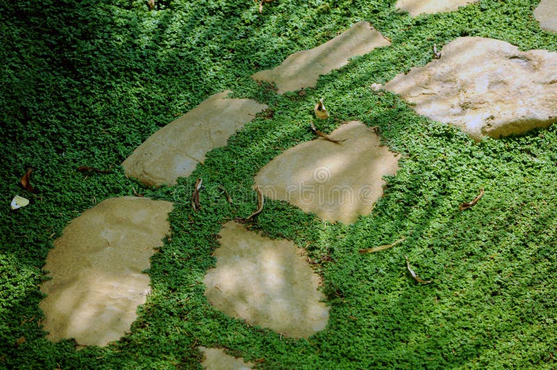 Garden stone path