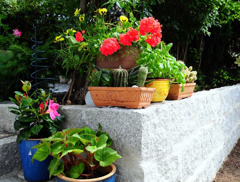 Garden stone wall flowers