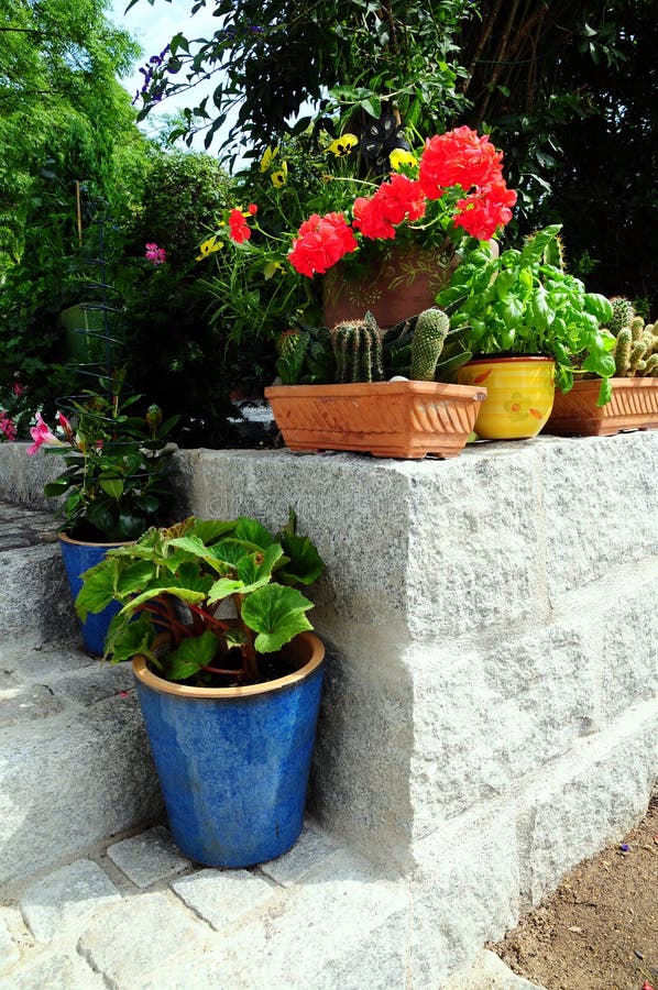 Garden stone wall flowers