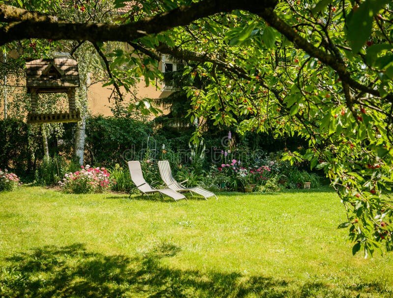 Garden stock photo. Image of blue, colorful, flowerbed 41666892