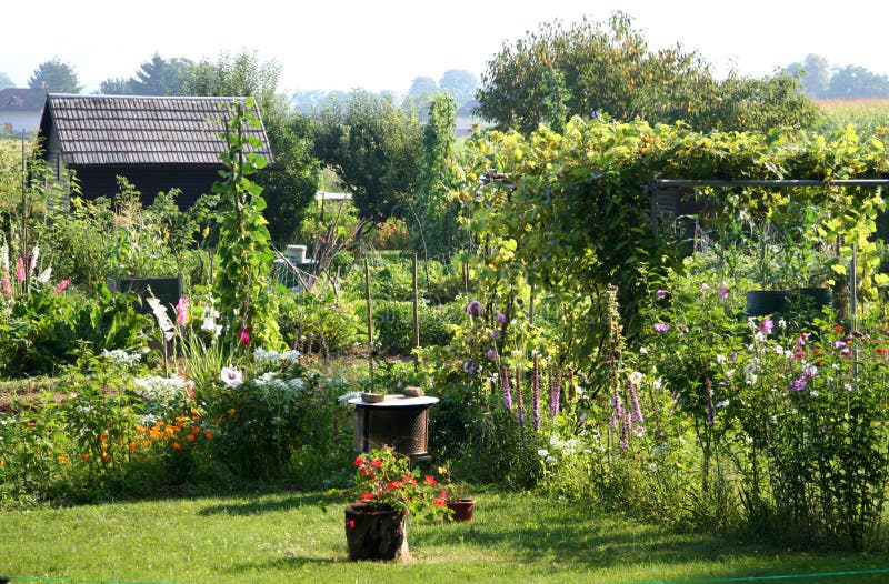 Garden in summer time