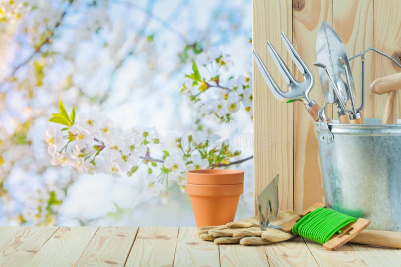 Garden tools in bucket and on wooden table