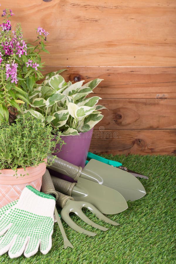 Garden tools equipment stock image. Image of terrace 69768253