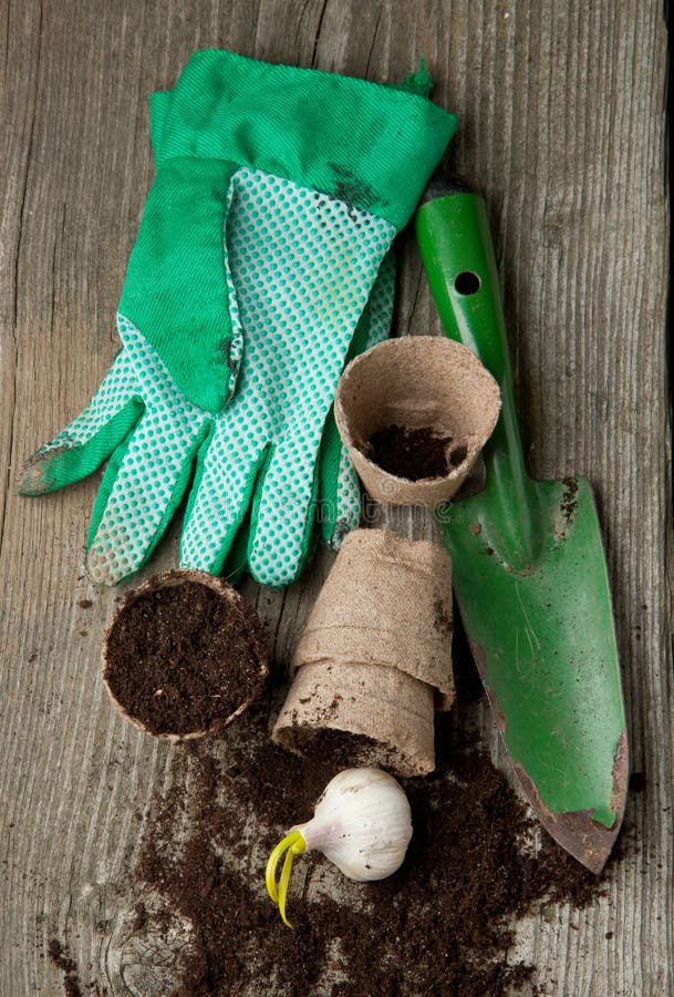 Garden tools with ground stock image. Image of equipment 19528633