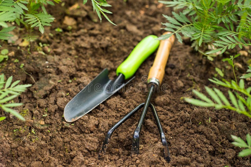 Garden Tools on Ground in Flower Bed. Stock Photo Image of dark