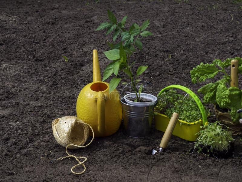 Garden tools with pots and soil seedlings in rustic style. Copyspace royalty free stock photos Garden tools with pots and soil seedlings in rustic style. Copyspace royalty free stock photos