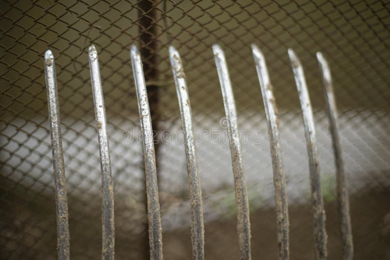 Garden Tools. Steel Rake is Leaned Against Mesh Fence Stock Image