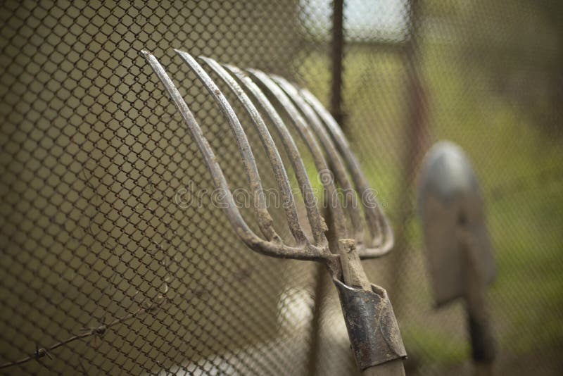 Garden Tools. Steel Rake is Leaned Against Mesh Fence Stock Image