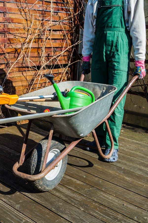 Garden Tools in a Wheelbarrow Stock Image Image of shovel, hobbies 264267257