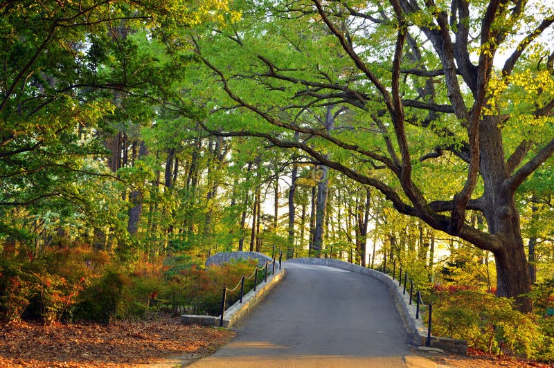 Garden trees stock image. Image of forest, sunlight, warming 13897091