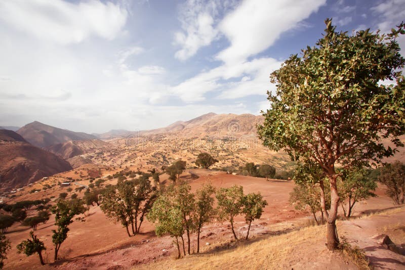 Garden trees on natural landscape with clouds royalty free stock images Garden trees on natural landscape with clouds royalty free stock images