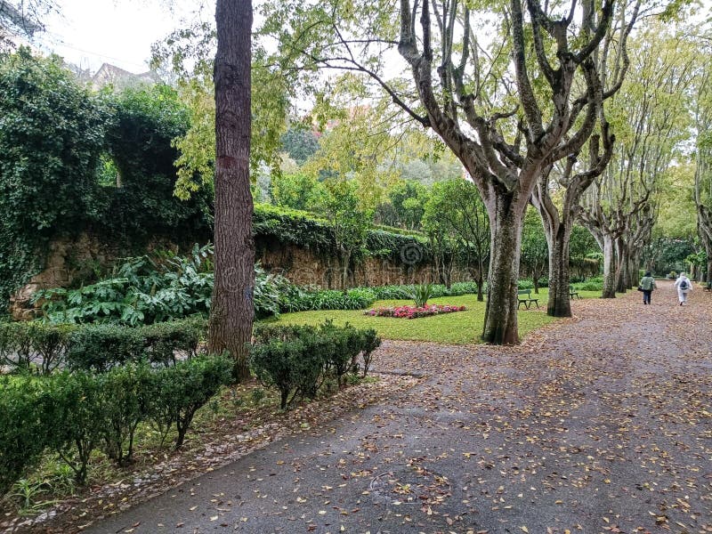 garden with trees and walks in Oeiras, Portugal. garden with trees and walks in Oeiras, Portugal