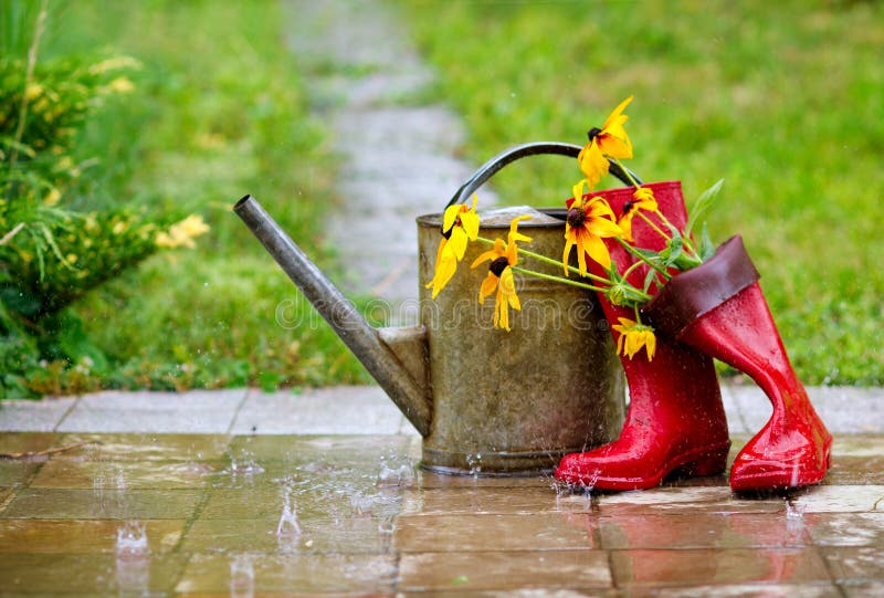 La lluvia zapatos, regando capaz a flores en la primavera jardín la lluvia.