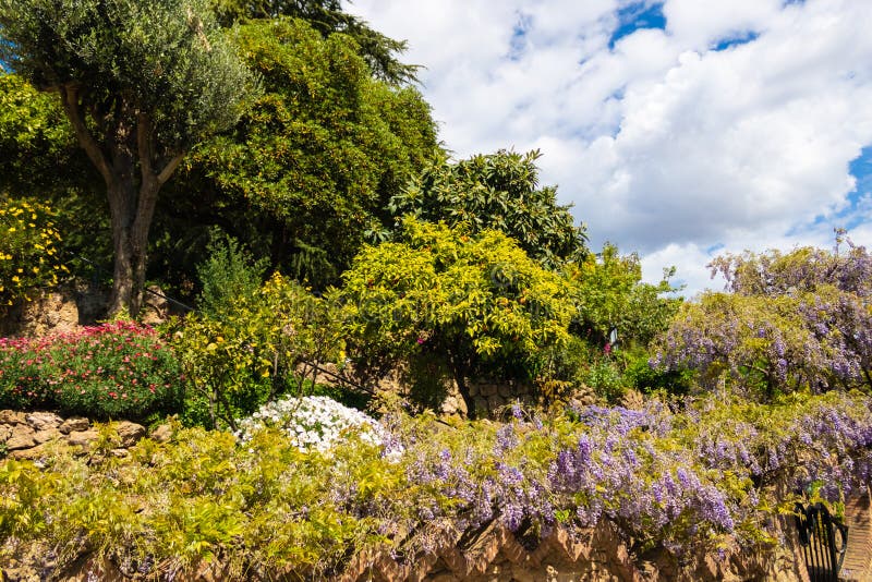 Garden with various flowers and plants in Park Güel, Barcelona - Image stock image Garden with various flowers and plants in Park Güel, Barcelona - Image stock image