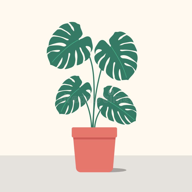 Monstera potted plant in pot in flat design. 