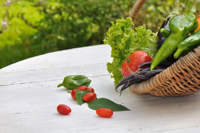 Garden vegetables basket