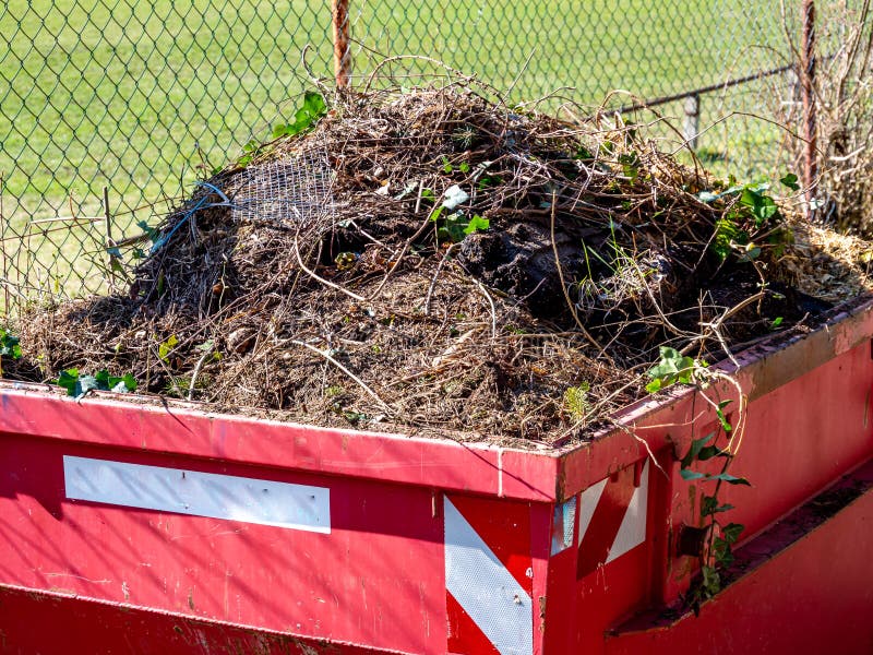 Garden Waste in a Container Stock Photo Image of park, service 195209360