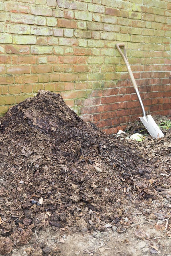 Garden waste decomposing on a compost heap, UK. Composting, organic waste decomposing on a compost heap in a garden, UK stock images Garden waste decomposing on a compost heap, UK. Composting, organic waste decomposing on a compost heap in a garden, UK stock images