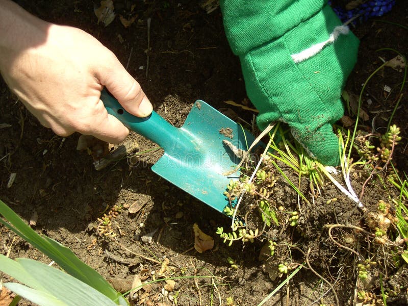 Garden work 03 stock photos