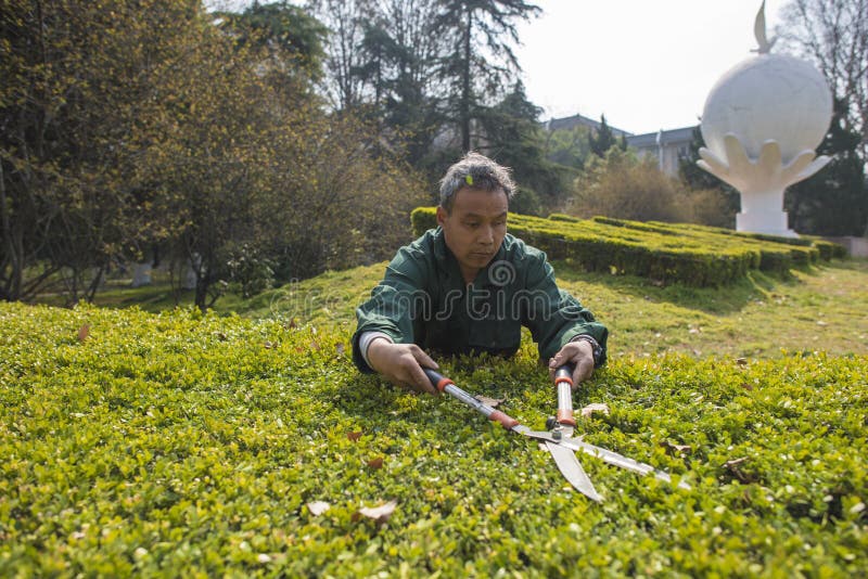 Garden workers editorial image image of nanjing garden 88331275