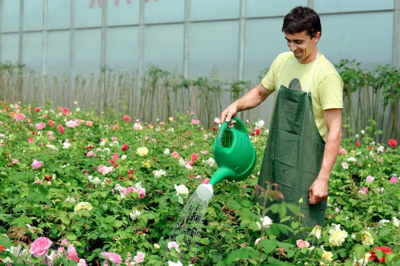 Gardener