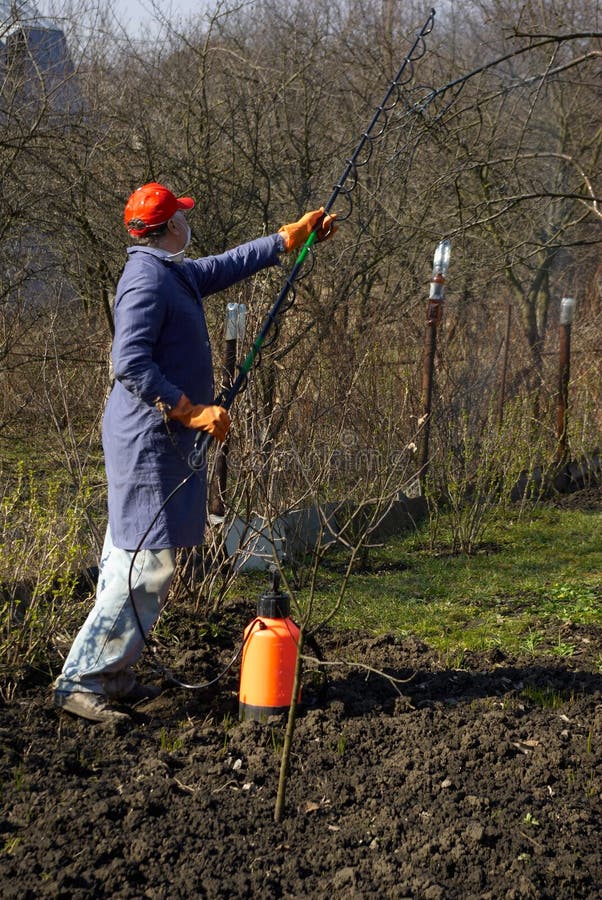 Gardener