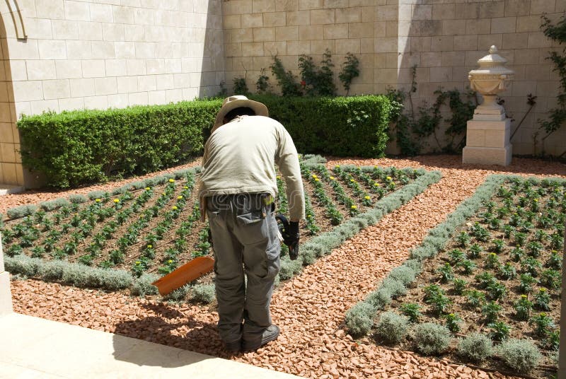 The gardener