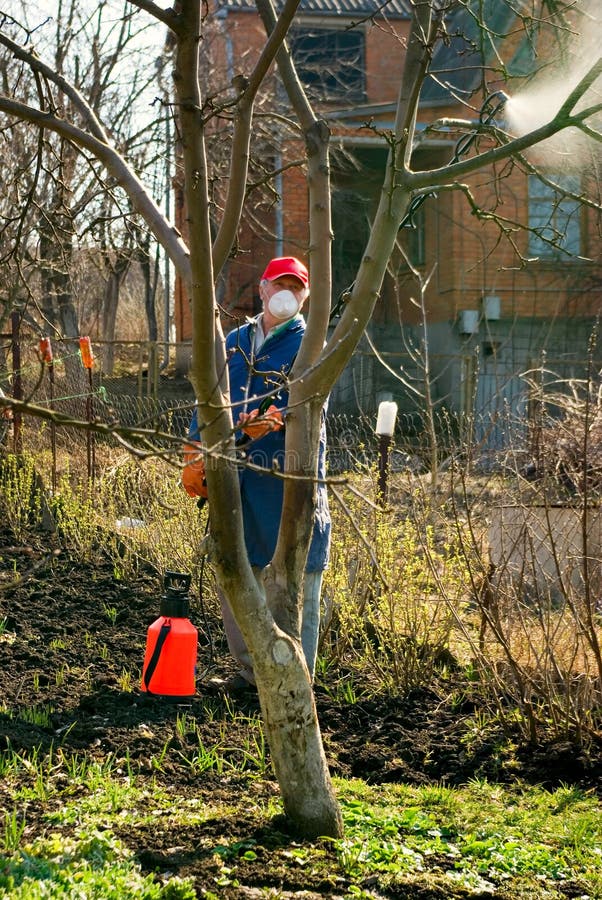 Gardener