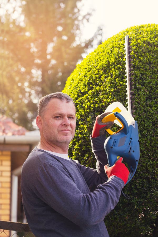 Gardener Cutting a Hedge with a Hedge Cutter Stock Photo Image of