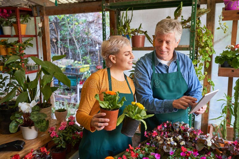 Gardener and Florist in Training Work Together Stock Image Image of