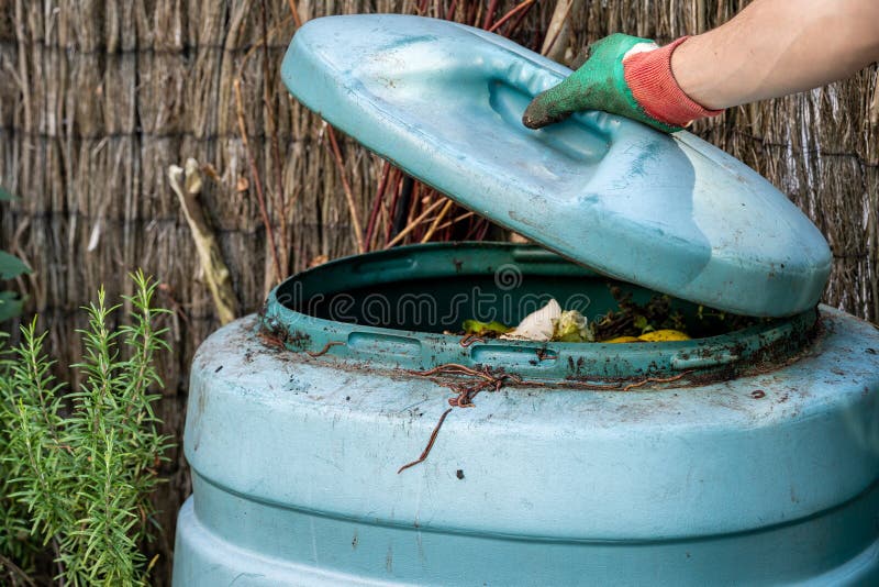 Detail of Plastic Compost Bin with Earthworms in Small City Garden with