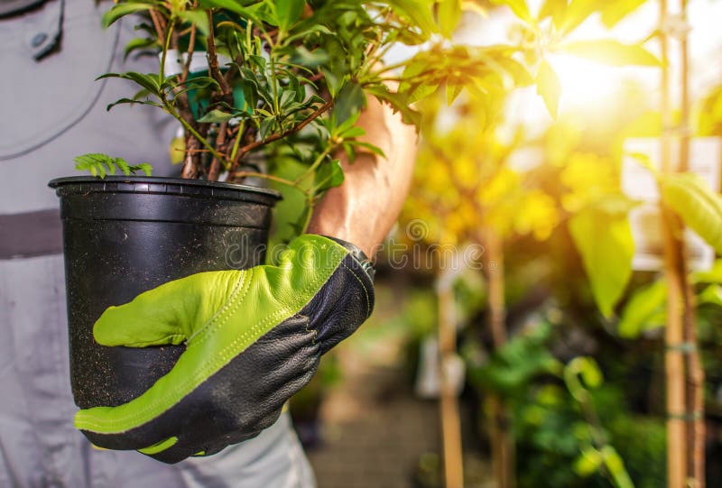 Gardener Planting Plants