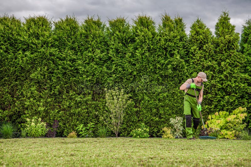 Gardener Raking Freshly Mowed Grass From Backyard Garden Lawn