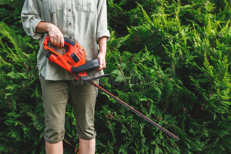 Woman holding electric hedge trimmer. Gardener is ready for trimming overgrown bushes at backyard. Gardening equipment. Woman holding electric hedge trimmer. Gardener is ready for trimming overgrown bushes at backyard. Gardening equipment