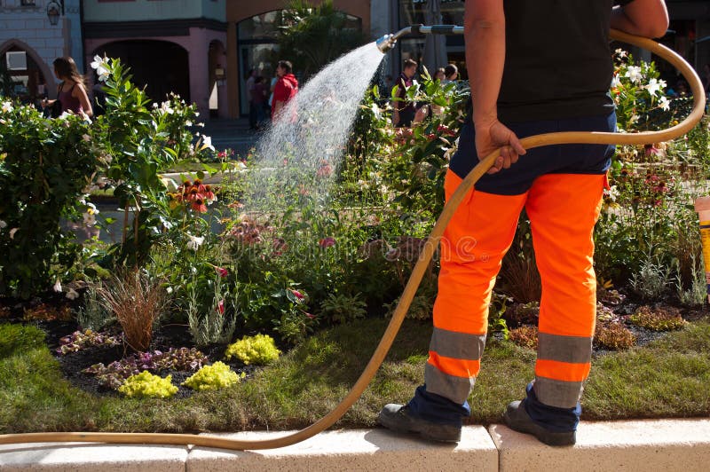 Gardener watering flowers